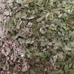 Mate grün, naturbelassen
